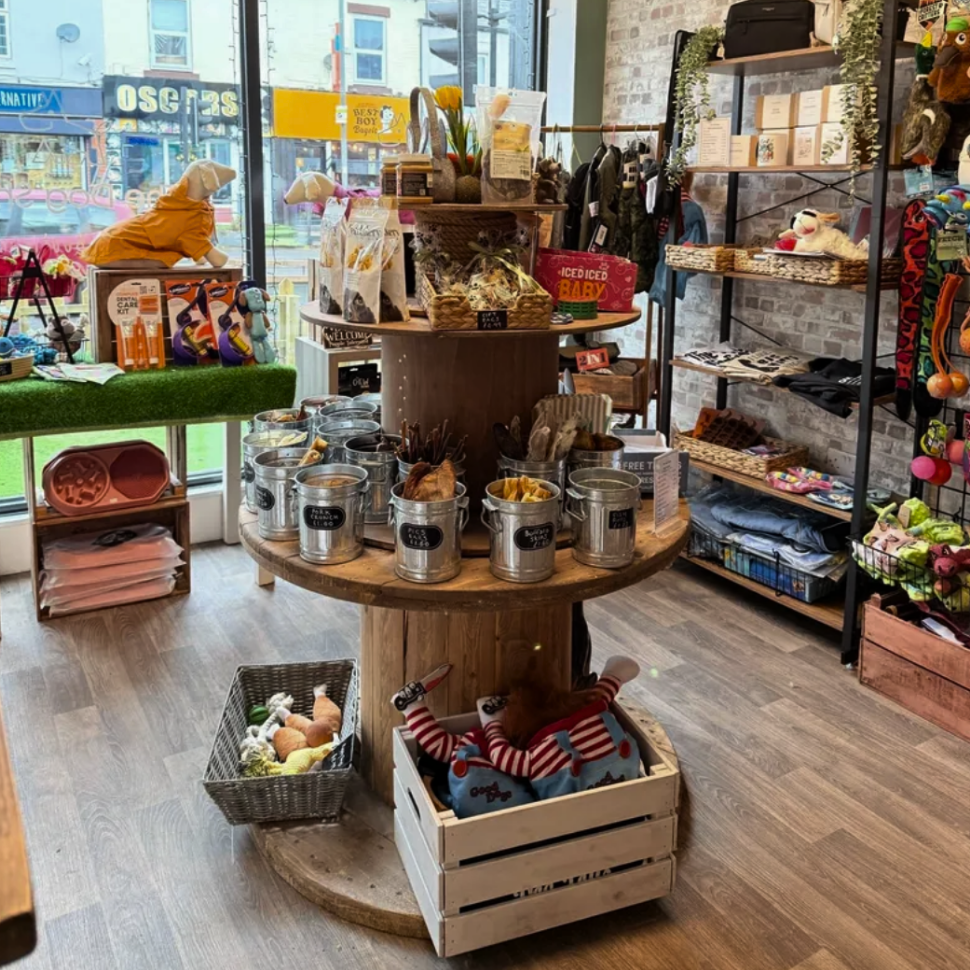 Dog, Dog grooming, Sheffield, Nether edge,Puppy, Full groom, Bath,cut & Blow dry